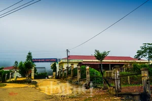 Experience the Magic of Suoi Co Vang: A Journey to Sleep Among the Clouds - image 4