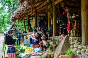 Experience the Magic of Suoi Co Vang: A Journey to Sleep Among the Clouds - image 18