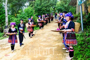 Experience the Magic of Suoi Co Vang: A Journey to Sleep Among the Clouds - image 12