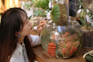 YiTuYu Art Language Vol.10271 Ideas - Creative Conceptual Photography Collection - image 10