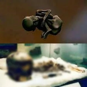 Discovery of Africa’s Oldest Mummy in Libya Challenges Ancient History - image 8