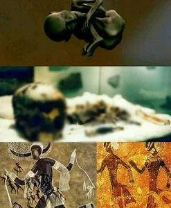 Discovery of Africa’s Oldest Mummy in Libya Challenges Ancient History - image 0