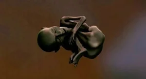 Discovery of Africa’s Oldest Mummy in Libya Challenges Ancient History - image 6