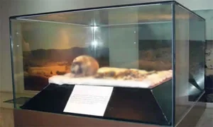 Discovery of Africa’s Oldest Mummy in Libya Challenges Ancient History - image 4