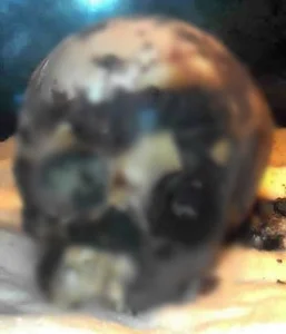 Discovery of Africa’s Oldest Mummy in Libya Challenges Ancient History - image 2