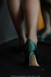 IESS Grey Skirt and Shiny Silk Stockings Collection Page 2 - image 14