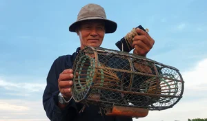 Traditional Stone Crab Hunting Secrets in Ca Mau - image 7