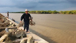 Traditional Stone Crab Hunting Secrets in Ca Mau - image 1