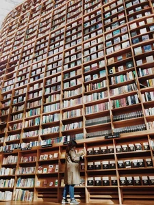 Exploring the Favorite Library of Dang Thu Thao and Her Husband in South Korea - image 3