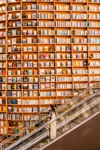 Exploring the Favorite Library of Dang Thu Thao and Her Husband in South Korea - image 2
