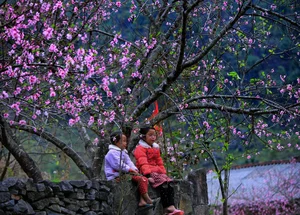 7 Breathtaking Destinations to Witness the Vibrant Beauty of Spring Flowers in Full Bloom - image 1