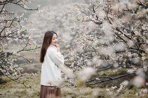 7 Breathtaking Destinations to Witness the Vibrant Beauty of Spring Flowers in Full Bloom - image 7