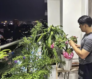 Inside MC Nguyen Khang’s Vibrant and Colorful 5 Billion VND Luxury Apartment - image 8