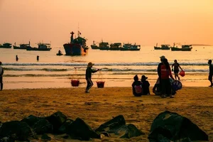 Sunrise at Long Thuy Fish Market: A Scenic Phu Yen Experience - image 3
