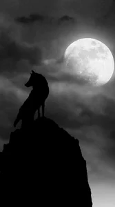 560+ Mystical Lone Wolf Wallpapers for Desktop and Mobile - image 3