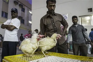 Beyond the Glitter: Unveiling the Hidden Realities of Life in Dubai - image 6