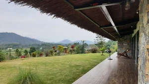 Leaving the City Behind: A Middle-Aged Couple’s Stunning 2-Hectare Garden Oasis - image 1