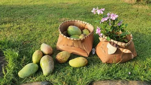 Leaving the City Behind: A Middle-Aged Couple’s Stunning 2-Hectare Garden Oasis - image 11