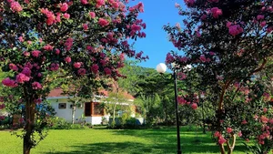 Leaving the City Behind: A Middle-Aged Couple’s Stunning 2-Hectare Garden Oasis - image 13