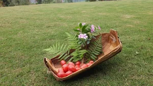 Leaving the City Behind: A Middle-Aged Couple’s Stunning 2-Hectare Garden Oasis - image 2