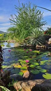 Leaving the City Behind: A Middle-Aged Couple’s Stunning 2-Hectare Garden Oasis - image 10