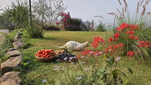 Leaving the City Behind: A Middle-Aged Couple’s Stunning 2-Hectare Garden Oasis - image 12