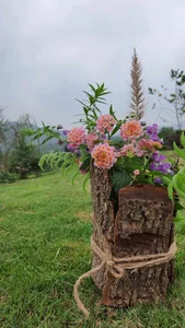 Leaving the City Behind: A Middle-Aged Couple’s Stunning 2-Hectare Garden Oasis - image 3