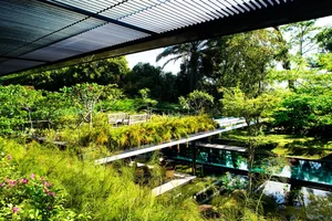 Stunning Resort-Style Home Features Lush Rooftop Garden and Serene Water Features - image 3