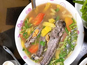 Discover the Unique Walking Fish of Thanh Hoa: A Rare and Delicious Vietnamese Delicacy - image 11