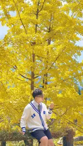 Sa Pa's Golden Ginkgo Season: A Romantic Mountain Escape for End-of-Year Check-ins - image 2