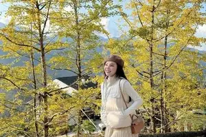 Sa Pa's Golden Ginkgo Season: A Romantic Mountain Escape for End-of-Year Check-ins - image 10
