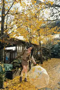 Sa Pa's Golden Ginkgo Season: A Romantic Mountain Escape for End-of-Year Check-ins - image 0