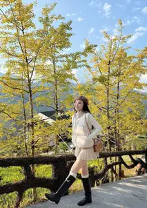 Sa Pa's Golden Ginkgo Season: A Romantic Mountain Escape for End-of-Year Check-ins - image 8