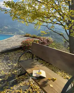 Sa Pa's Golden Ginkgo Season: A Romantic Mountain Escape for End-of-Year Check-ins - image 6
