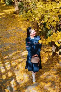 Sa Pa's Golden Ginkgo Season: A Romantic Mountain Escape for End-of-Year Check-ins - image 7