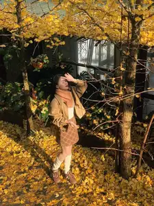 Sa Pa's Golden Ginkgo Season: A Romantic Mountain Escape for End-of-Year Check-ins - image 4