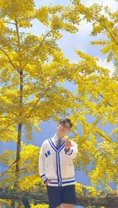Sa Pa's Golden Ginkgo Season: A Romantic Mountain Escape for End-of-Year Check-ins - image 1