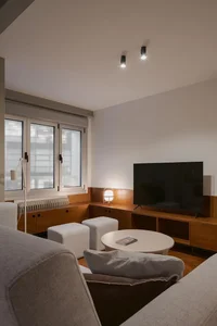 Modern 1960s Apartment Renovation into Flexible Studio and Living Space - image 3