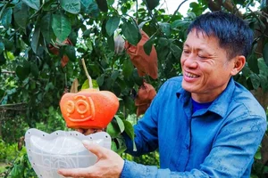 Những loại cây cảnh độc lạ gây sốt thị trường Tết Giáp Thìn 2024 - image 6
