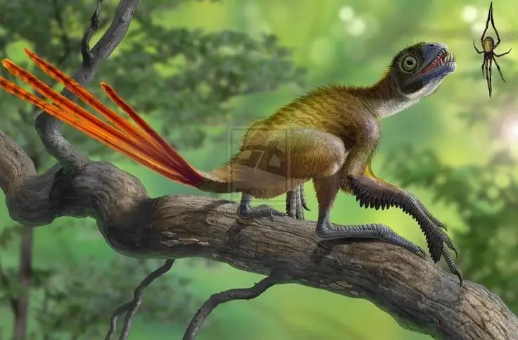 Epidexipteryx Dinosaur: Jurassic Creature with Peacock-like Feathers, Unique Teeth, and Avian Evolution Mystery