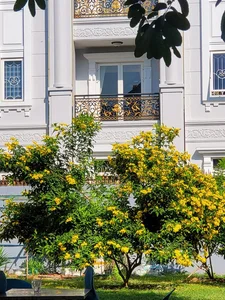 Inside the Luxurious Bedroom Views of Famous Vietnamese Celebrities - image 16