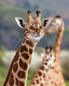 Hilarious Photoshop Trend Imagines Every Animal with a Cat Face - image 12