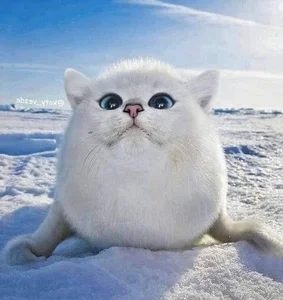 Hilarious Photoshop Trend Imagines Every Animal with a Cat Face - image 0