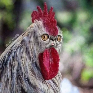 Hilarious Photoshop Trend Imagines Every Animal with a Cat Face - image 8