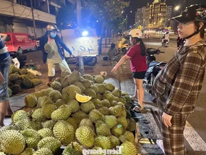Ho Chi Minh City Residents Rush to Grab Discounted Durian Deals - image 5