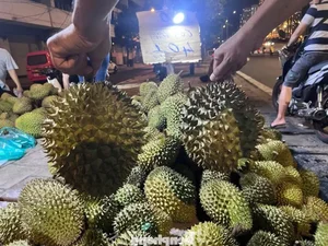 Ho Chi Minh City Residents Rush to Grab Discounted Durian Deals - image 10
