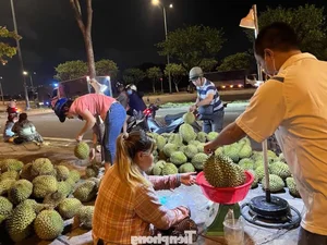 Ho Chi Minh City Residents Rush to Grab Discounted Durian Deals - image 2