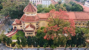 Discover the Enchanting Beauty of Hanoi in March: A Season of Blossoming Flowers and Spring Nostalgia - image 4
