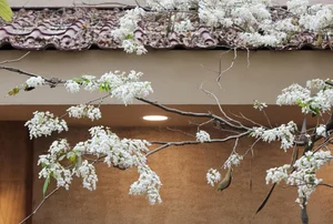 Discover the Enchanting Beauty of Hanoi in March: A Season of Blossoming Flowers and Spring Nostalgia - image 5