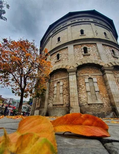 Discover the Enchanting Beauty of Hanoi in March: A Season of Blossoming Flowers and Spring Nostalgia - image 2